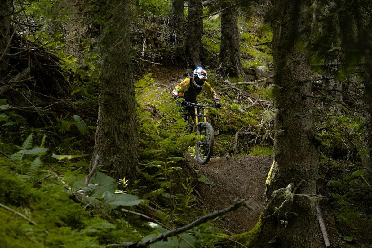 Best Spring MTB Trails in New Zealand: Where to Ride This Season